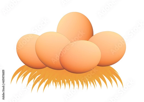 Fototapeta eggs on a white