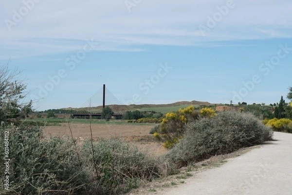 Obraz 広大な景色が広がる散歩道