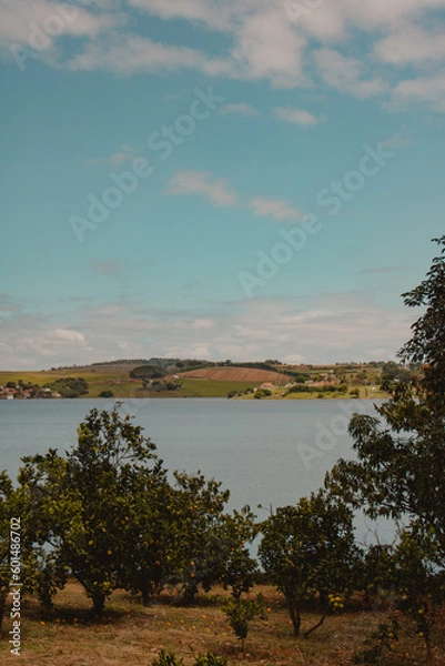 Fototapeta view of the lake in the middle of the plantation