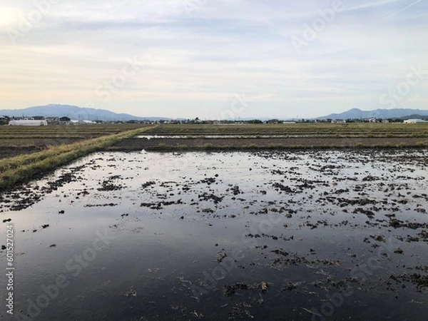 Obraz 210512田んぼ安塚

田んぼ
山形市安塚