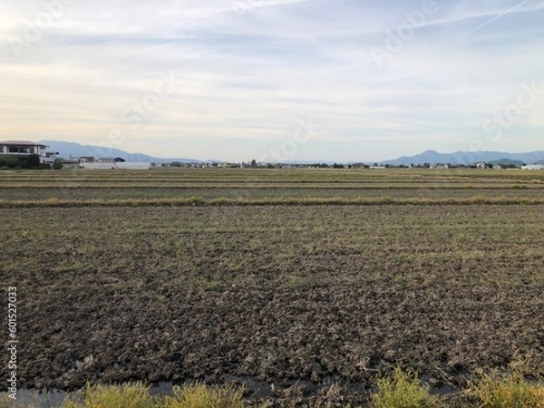 Obraz 210512田んぼ安塚

田んぼ
山形市安塚