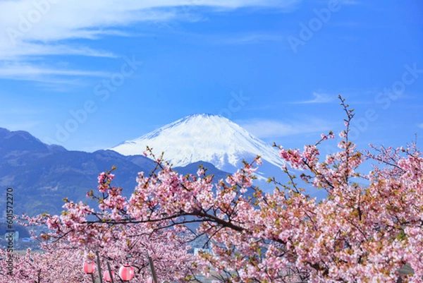 Obraz 富士山と桜　日本春風景