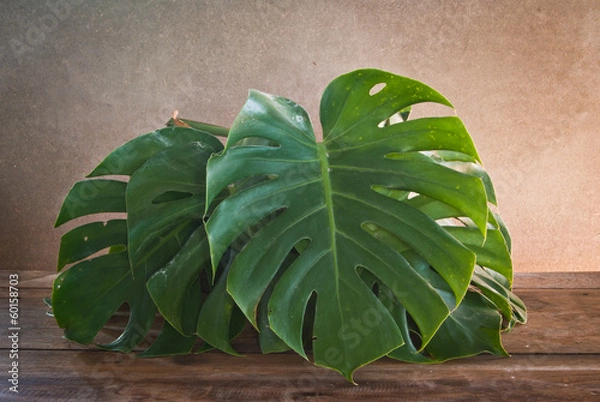 Obraz leaves Monsters