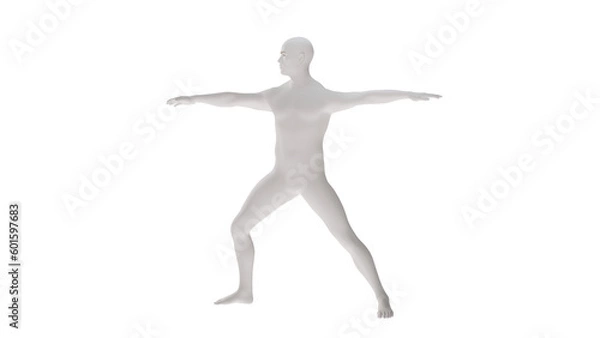 Fototapeta White plastic High resolution conceptual human 3D anatomy body 3d illustration isolated 