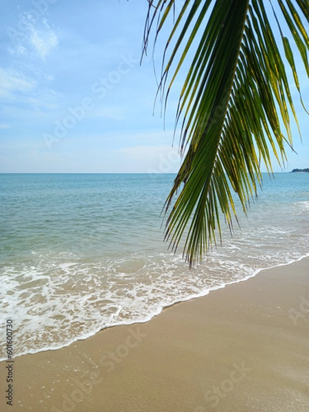 Fototapeta Tropical beach with palm tree, blue sky and ocean wave background. Thailand

