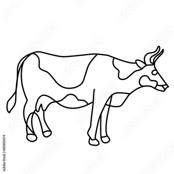 Fototapeta Outline Cow Vector