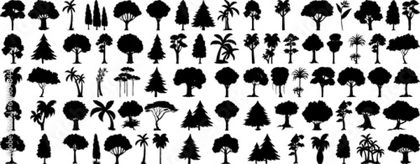 Fototapeta silhouette tree line drawing set, Side view, set of graphics trees elements outline symbol for architecture and landscape design drawing. Vector illustration