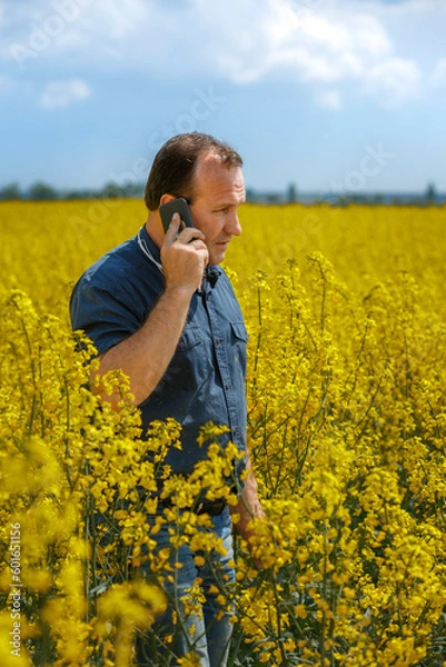 Obraz Agronomist man inspects rapeseed crops. Increasing yields and organic food production. Application of new technologies in agriculture.