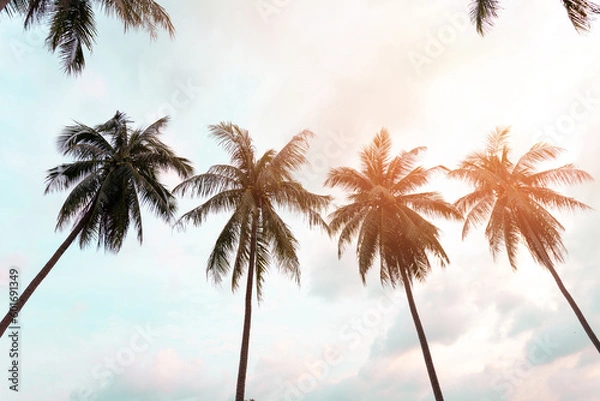 Fototapeta Tropical palm coconut trees on sunset sky flare.