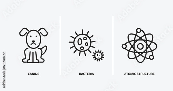 Fototapeta medical outline icons set. medical icons such as canine, bacteria, atomic structure vector. can be used web and mobile.