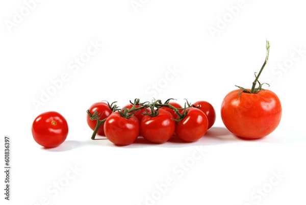 Obraz Family of connected tomatoes large and small