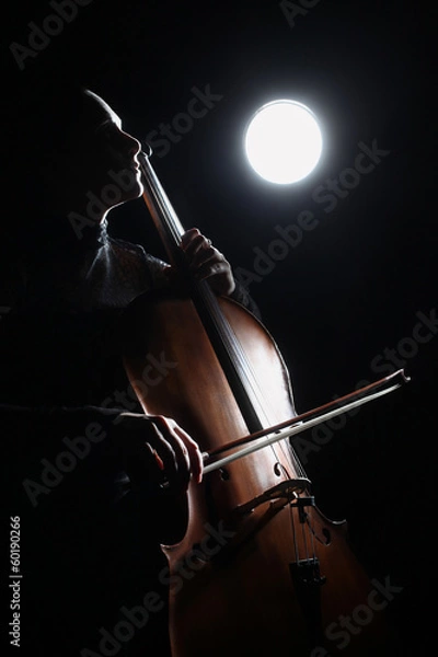 Fototapeta Cello classical music cellist player