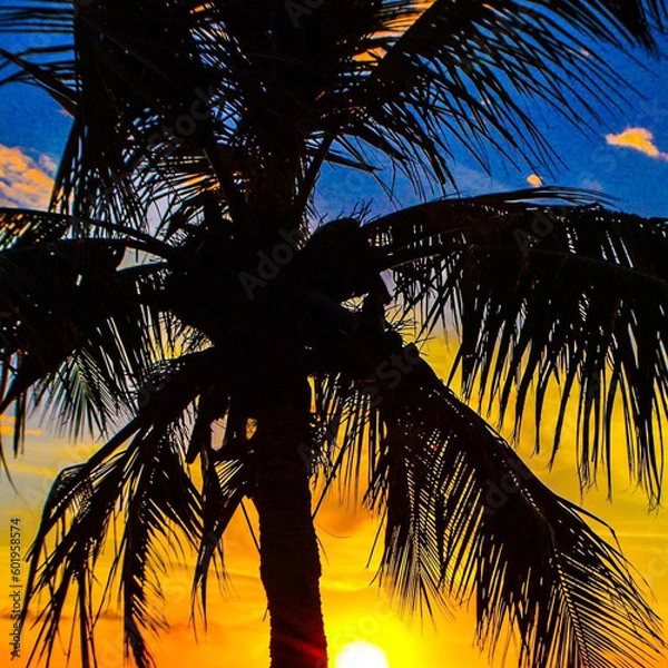 Fototapeta palm tree silhouette generated AI