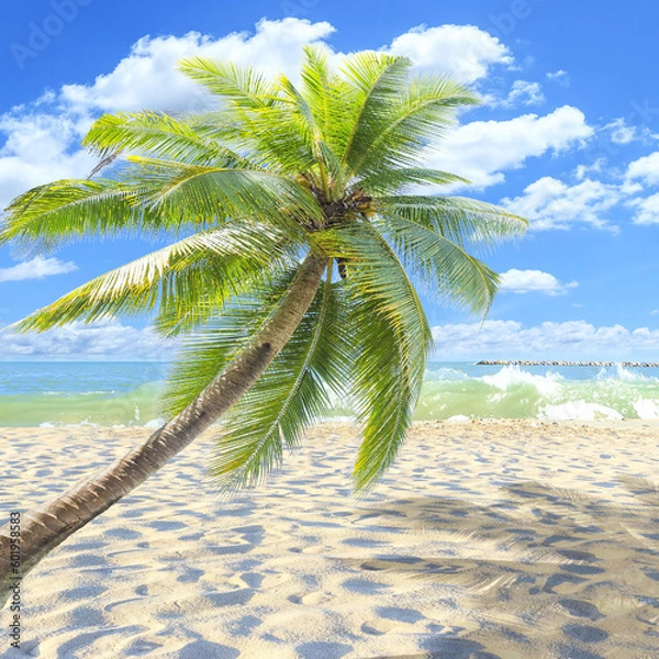 Obraz palm tree on the beach generated AI