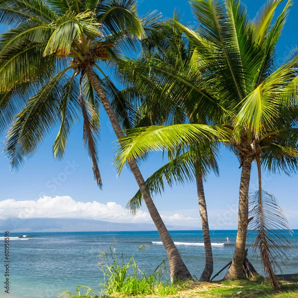 Fototapeta palm tree on the beach generated AI