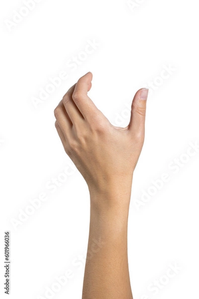 Fototapeta Woman hand holding grabbing or measuring something isolated on white background, with clipping path.  Five fingers. Full Depth of field. Focus stacking. PNG