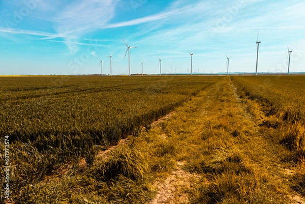 Fototapeta Wiatraki prądotwórcze są rozmieszczone w sposób strategiczny, tworząc imponującą farmę wiatrową, która przyczynia się do zrównoważonego rozwoju energetycznego. Energetyczne giganty wznoszą się dumnie 