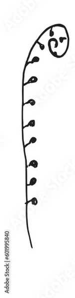 Obraz Botanical Organic Hand drawn Illustration