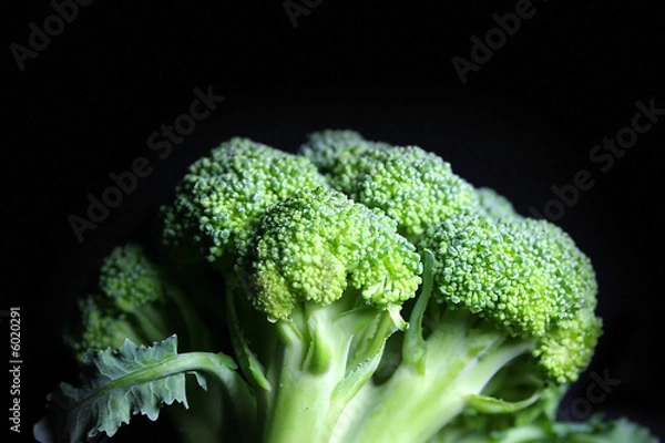 Fototapeta Green Broccoli