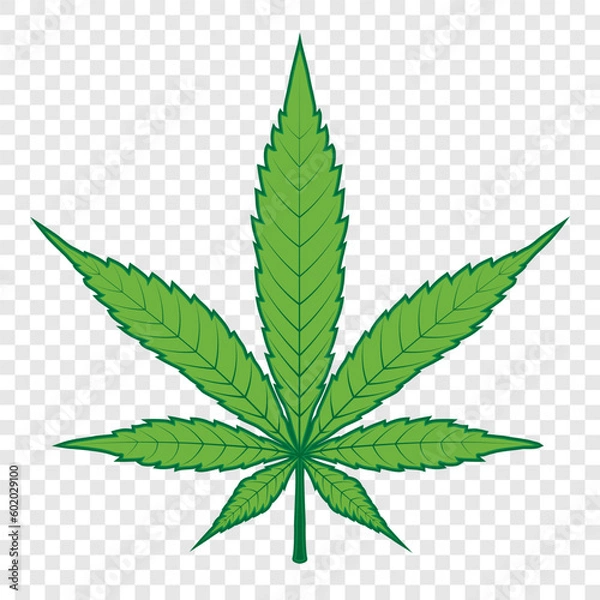 Obraz Green Cannabis, Marijuana, Marihuana, Weed, Hemp leaf vector icon on Transparency background.