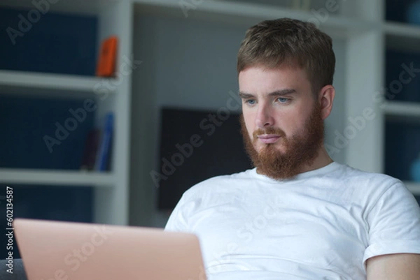 Fototapeta Young happy positive man use laptop computer at home in living room sit on couch looking at camera and smile. Freelancer guy, freelance distant job