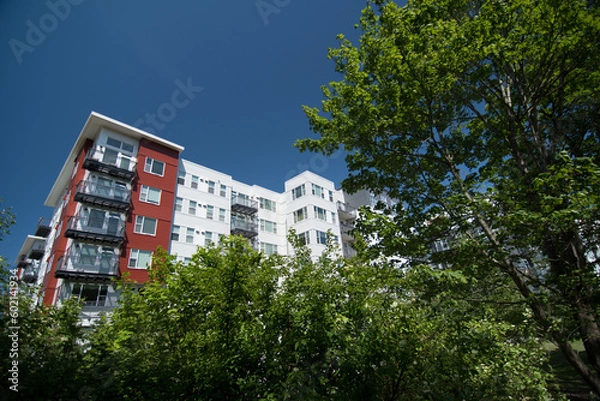 Obraz Large maple trees framing new apartment buildings in Redmond town center - 2