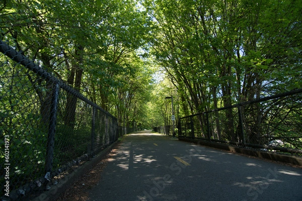 Fototapeta Empty  Redmond Central Connector trail  on a summer afternoon