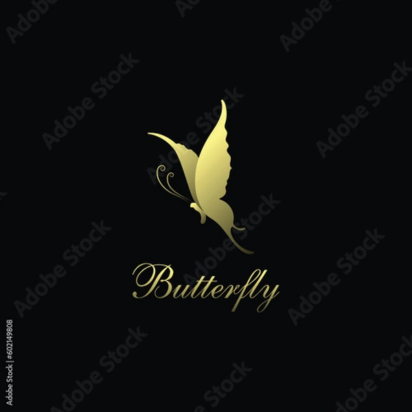 Obraz Butterfly logo vector