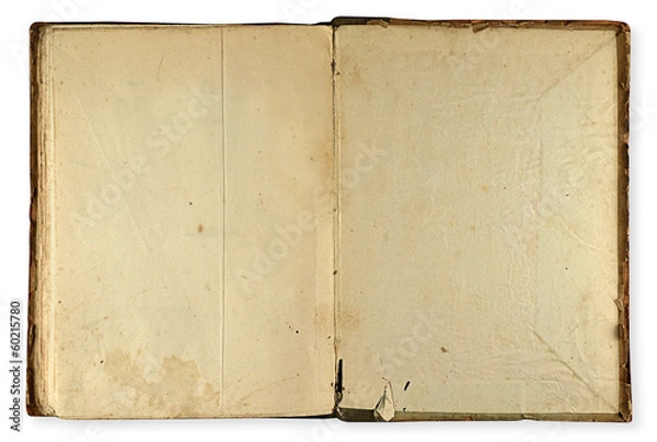 Obraz antique book