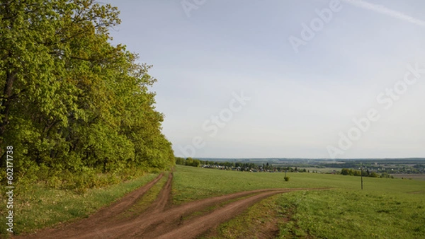Obraz road in the field