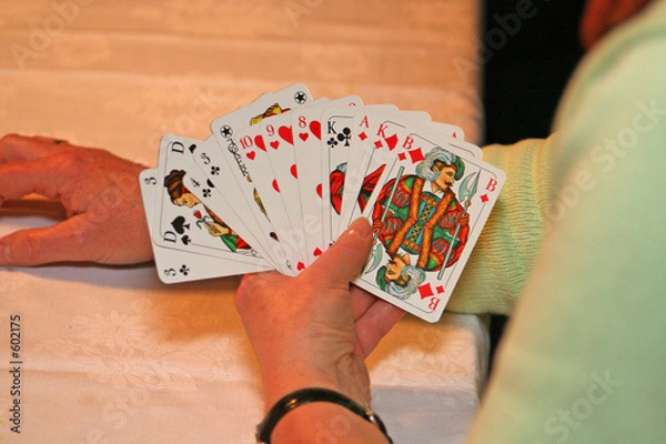 Obraz rommee blatt auf der hand