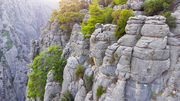 Fototapeta Huge cliffs with forest at summer. Beautiful nature miracle in Turkey. National park area. Pure untouched nature. Dense mixed forest at the top of a mountain cliff.
