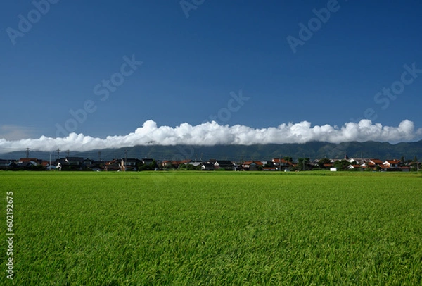 Fototapeta 夏の出雲北山山地