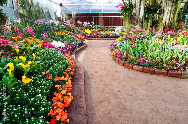 Obraz way in the garden