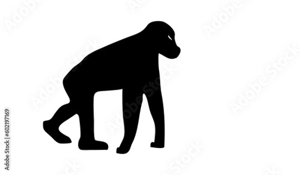 Fototapeta the Gorilla