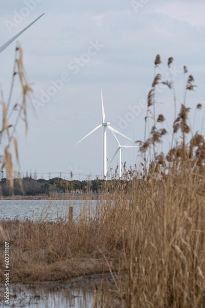 Fototapeta Wind turbines in the suburbs