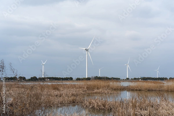 Fototapeta Wind turbines in the suburbs