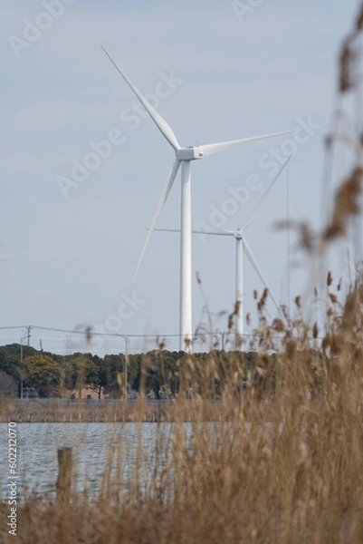 Fototapeta Wind turbines in the suburbs