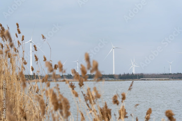 Fototapeta Wind turbines in the suburbs
