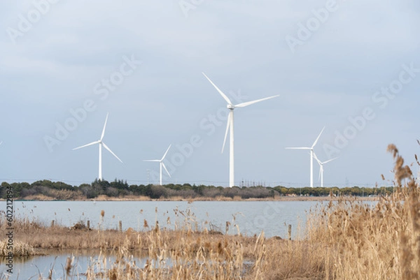 Fototapeta Wind turbines in the suburbs