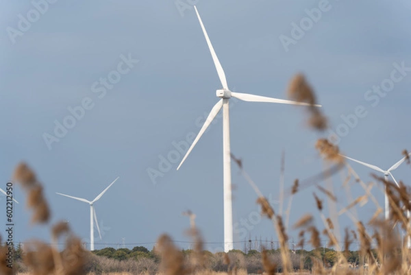 Fototapeta Wind turbines in the suburbs