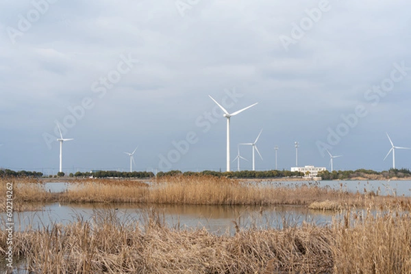 Fototapeta Wind turbines in the suburbs