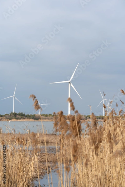 Fototapeta Wind turbines in the suburbs