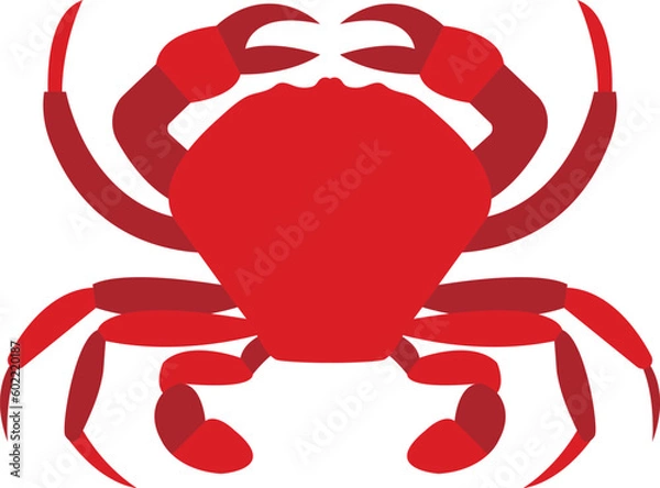 Fototapeta red crab isolated vector image or clipart
