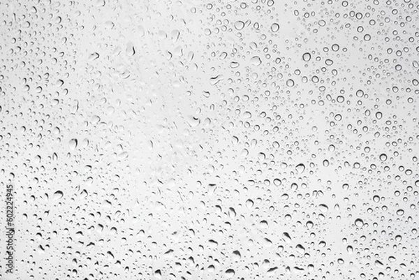 Fototapeta 水滴