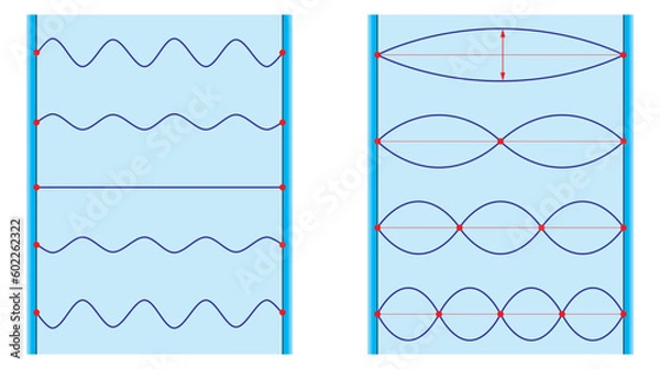 Obraz Physics. The vibrational modes of a physical string and time-lapse diagram of a standing wave. Science