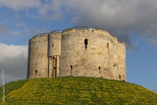 Obraz Cliffords Tower, historic castle building in the centre of York, North Yorkshire, Engalnd. Castle hill surrounded by daffodils. 