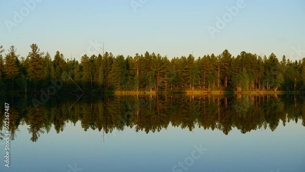 Obraz forest, trees, river, summer, landscape, beautiful, evening