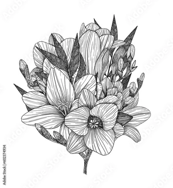 Obraz Freesia. A bouquet of freesia flowers and twigs. Flower arrangement. Hand-drawn. Graphics. Engraving