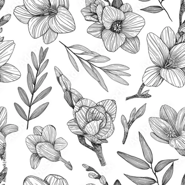 Fototapeta Floral seamless pattern. Background with freesias. Hand-drawn. Graphics. Engraving